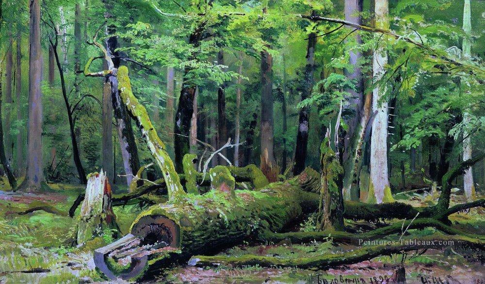 chêne coupé dans la forêt de bialowiezka 1892 paysage classique Ivan Ivanovitch Peintures à l'huile